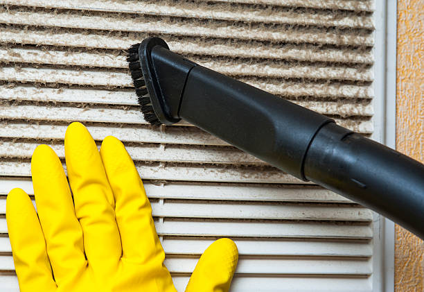 Best Dryer Vent Cleaning in Garden City Park, NY